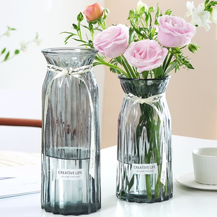 二件套大号玻璃花瓶透明水培鲜花富贵竹百合花瓶客厅插花摆件
