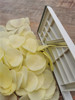 土豆片切片器红薯擦片器削片青瓜，切片器切土豆片，神器插土豆片工具