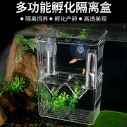 鱼缸孵化器繁殖盒亚克力隔离盒，孵化盒孔雀鱼热带鱼产卵器斗鱼隔离