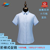 液氨免烫女衬衣qnc3071d蓝色纯棉，小方格常规领商务款修身短袖衬衫