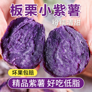 正宗板栗小紫薯中大果新鲜低脂代餐越南品种红薯农家自种小个地瓜