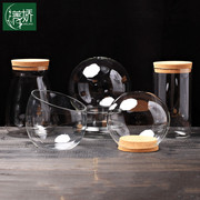 微景观透明玻璃瓶子桌面水培，小水滴罩子蛋型吊挂花盆铁支架容器皿