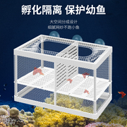 鱼缸隔离网隔离盒孔雀鱼，繁殖盒斗鱼孵化器繁殖箱悬浮式产子分离网