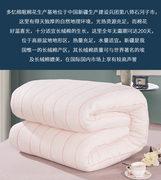 定制新疆棉被芯纯棉花冬被手工6斤单人学生宿舍加厚保暖冬季