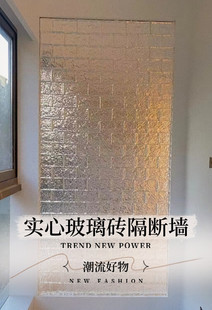 超白玻璃砖水晶砖透明方形隔断墙卫生间网红艺术，实心砖块屏风背景