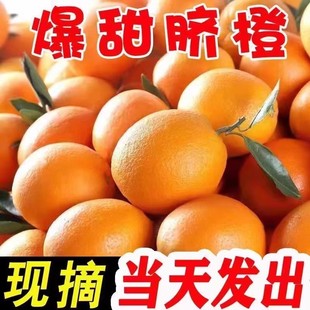 正宗赣南脐橙10斤橙子脐橙当季新鲜水果纽荷尔冰糖甜脐橙孕妇水果