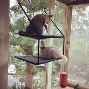 美国kh猫吊床悬挂猫窝窗户吸盘，猫床四季猫垫猫爬架猫咪用品可拆洗