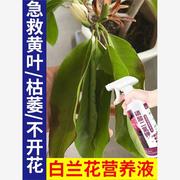 白兰花专用肥防黄叶掉花苞促开花肥料营养液，白玉兰黄角兰花肥通用