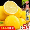 产地直发四川安岳黄柠檬(黄柠檬)新鲜水果泡水榨汁孕妇水果柠檬新鲜