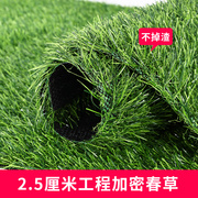 假草坪地毯人工仿真草塑料绿色阳台户外幼儿园铺垫装饰人造草皮