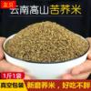 云南苦荞米黑苦荞米纯天然苦荞麦米炒泡苦荞，茶杂粮米散装500g