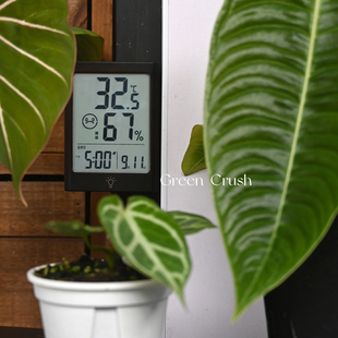 家用电子温度计热植温湿度计块根植物湿度计壁挂大屏X触摸背光磁