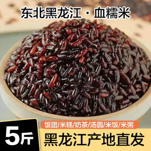 正宗黑糯米东北紫米血糯米新米商用农家包粽子米，酿酒奶芋泥茶饭团
