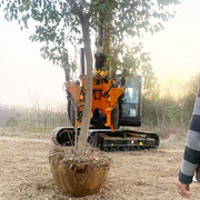 常青四瓣挖树机c80铲式起树机苗圃，移栽移树机一分钟一棵树