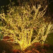氛围灯带户外树上挂灯过装饰灯太阳能闪灯串灯满天星室外树挂彩带