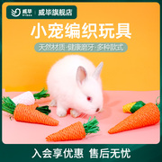 宠物兔子解闷玩具胡萝卜龙猫荷兰猪兔兔磨牙专用训练耐咬啃咬用品