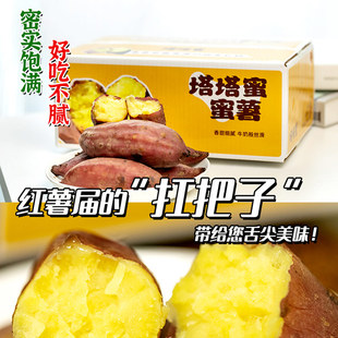 云南塔塔蜜薯高原产地新鲜地瓜，番薯日本种源农家金瑶甜糯红薯