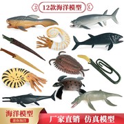 儿童仿真史前动物海洋动物玩具模型实心大白鲨三叶虫菊石邓氏鱼