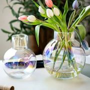 简约透明彩色玻璃花瓶水培圆球餐桌摆件郁金香玫瑰仿真花花瓶