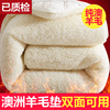 羊毛床垫软垫家用双人保暖床褥子垫被冬季加厚垫子冬天羊羔绒t