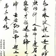 秀丽笔现代毛笔临摹字帖，行书草书野生体，江湖体成人大学生男女练字