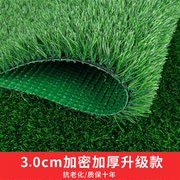 23北京仿真草坪地毯假草皮户外人E造H绿色塑料装饰铺垫幼儿园足