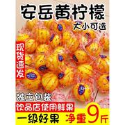 四川安岳黄柠檬(黄柠檬，)一级果皮薄多汁，当季水果香柠檬大中小整箱5斤