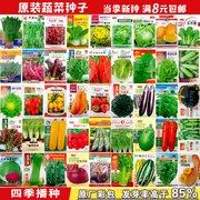 蔬菜种子农家庭院盆栽辣椒，番茄黄瓜韭菜，香菜草莓籽春夏季四季播
