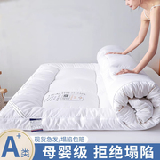 床垫子软垫家用卧室褥子租房专用床褥加厚学生宿舍单人榻榻米垫子