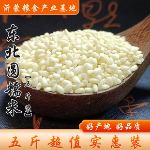 5斤装东北圆糯米粽子米江米白粘米煮粥酿酒糍粑黏米粮食