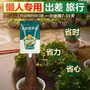 树木营养液吊针液袋大树移栽生根激活专用果树移植通用型植物肥料