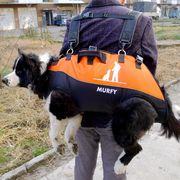 马犬金毛双肩携行狗背包宠物中大型犬多功能空降包双肩户外背狗包