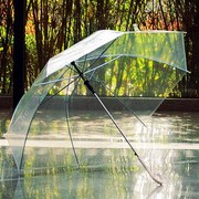 普通透明雨伞长柄自动透明伞创意雨伞广告伞o可做舞台道具伞多色
