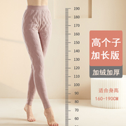 女士冬季棉裤加绒加厚保暖裤三层，夹棉高个子(高个子)内穿义乌打底裤加长版