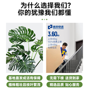 龟背竹观叶植物室内客厅办公室攀爬柱绿植盆栽净化空气吸甲醛老桩