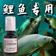 黑坑鲤鱼专用小药开口剂野钓专攻添加剂高浓缩(高浓缩)钓鱼打窝饵料诱鱼剂