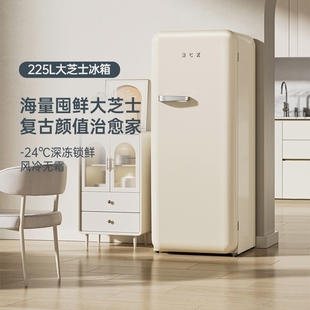 HCK哈士奇复古冰箱全冷冻柜立式家用客厅风冷大单门奶油风高颜值