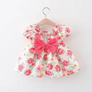 女宝宝裙子0-2-3岁4女童夏装，1婴儿小碎花，衣服洋气6个月女童公主裙