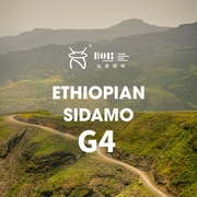 智慧拼配系列高品质西达摩sidamoG4埃塞俄比亚咖啡生豆1kg