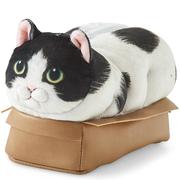 日本设计可爱纸盒猫咪笔袋化妆包收纳包蹲在纸箱里的可爱猫猫