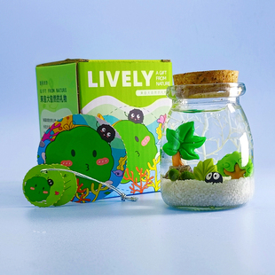海藻球微景观生态瓶，水培球藻创意迷你植物，桌面玻璃瓶盆栽礼物