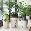 懒人双层自动吸水花盆室内桌面水培植物花卉控水储水花盆塑料小号