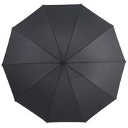 宝丽姿伞商务双人雨伞，三折叠超大加密加固防风，情侣伞学生伞广