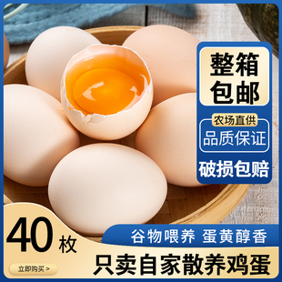 新鲜土鸡蛋40枚农家散养笨鸡蛋农村自养天然柴鸡蛋草鸡蛋整箱