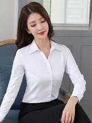 白衬衫女长袖修身春夏工作服黑色正装工装气质职业装打底白色衬衣