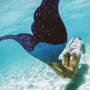 澳洲Mahina美人鱼脚蹼训练单蹼游泳鱼尾巴海洋馆潜水儿童橡胶柔软
