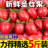 圣女果5斤新鲜水果柿子自然熟西红柿生吃樱桃千禧小番茄蔬菜D