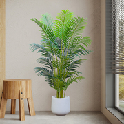 假仿真室内大型散尾葵绿色植物，轻奢装饰高级绿植，高档客厅高端摆设