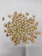 云南白扁豆农家自产正宗黑边小粒老品种500g可中药材炒白扁豆