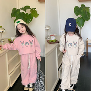 艾摩贝贝儿童套装女童韩版复合加厚短款小兔子卫衣+工装裤两件套